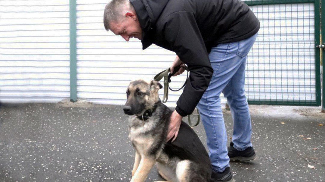 В Марий Эл на службу в уголовно-исполнительную систему поступили три хвостатых «новобранца» В Марий Эл на службу в уголовно-исполнительную систему поступили три хвостатых «новобранца»
