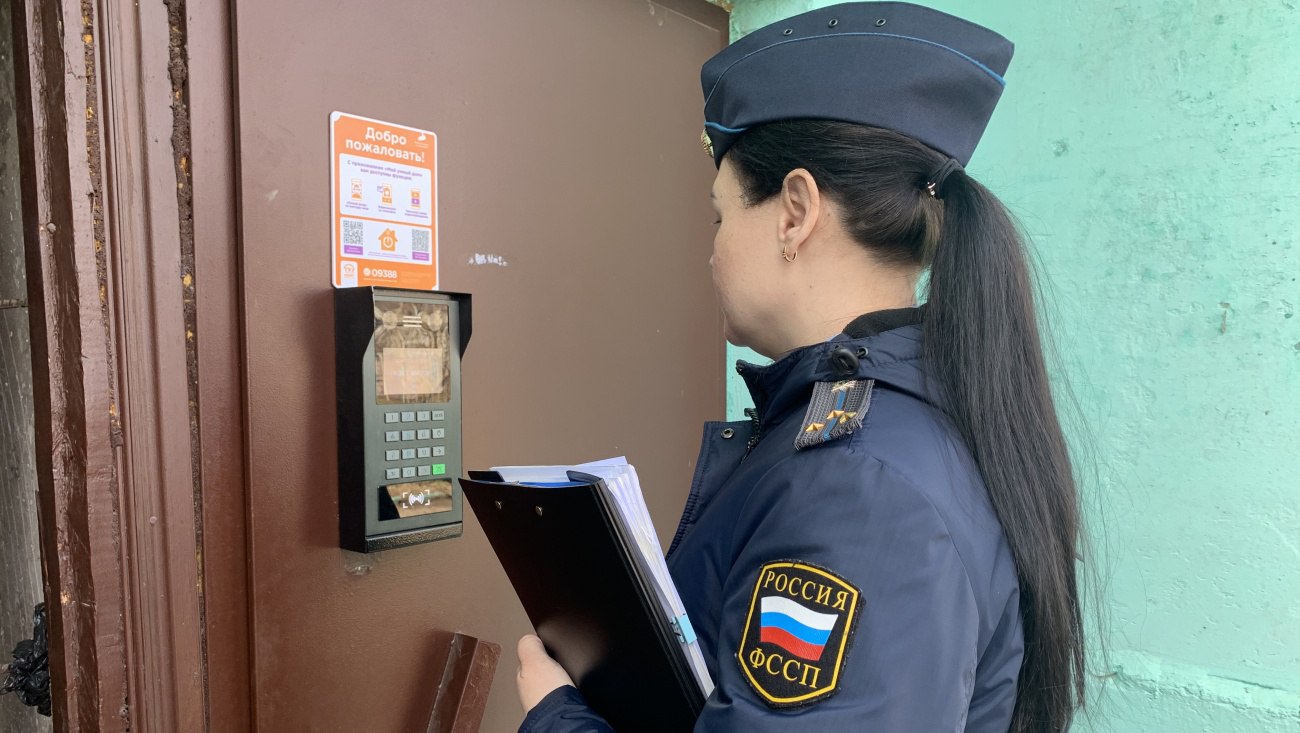 Должника из Мари-Турекского района обложили ограничениями