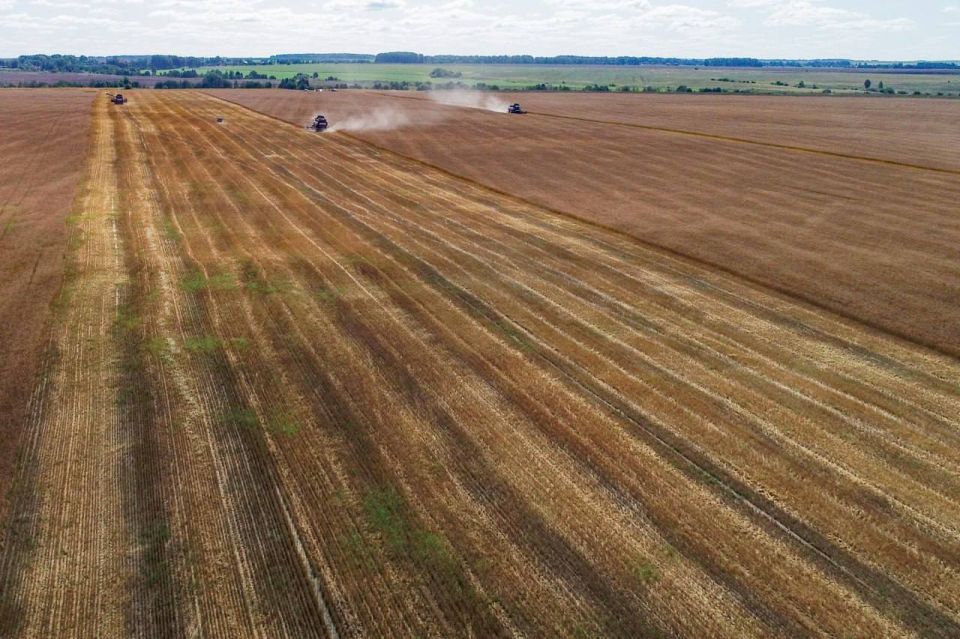 В Марий Эл близится к завершению уборочная кампания