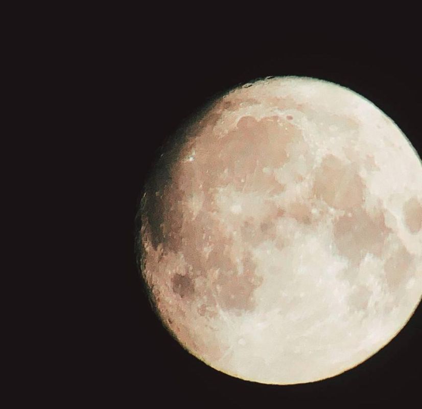 Сегодня жители Марий Эл смогут стать свидетелями астрономического явления – «Бобровой Луны»