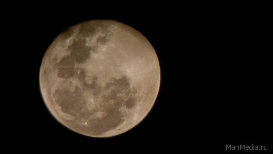 Жители Марий Эл смогут сегодня наблюдать «Бобровую Луну»