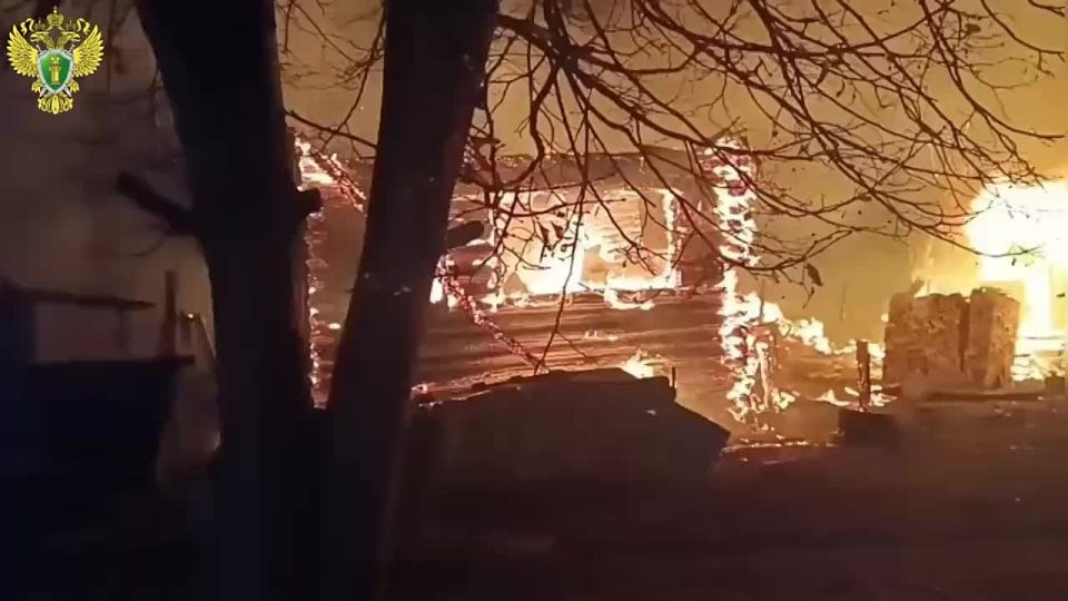   ,  19  03.11.2025       .    