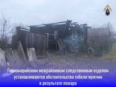 Горномарийским межрайонным следственным отделом устанавливаются обстоятельства гибели мужчин в результате пожара