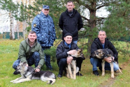 На службу в подразделения охраны уголовно-исполнительной системы Марий Эл поступили три новые служебные собаки