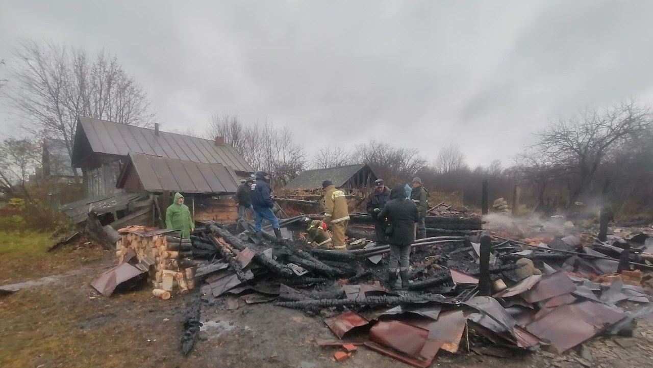 За прошедшую неделю и праздники в Марий Эл на пожарах погибли четыре человека