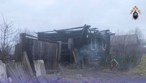 В одном из сёл Горномарийского района на пожаре погибли люди