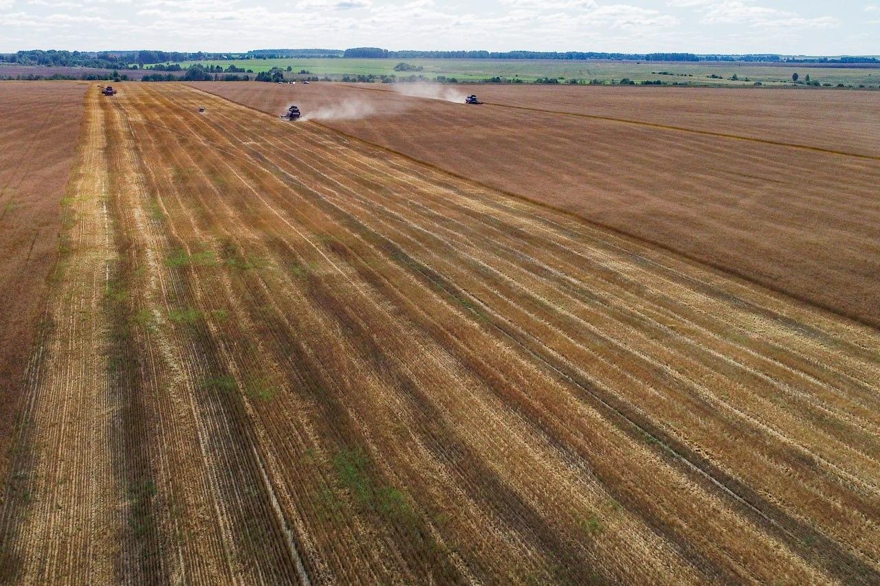 В Марий Эл во время уборочной кампании намолотили 370 тысяч тонн зерна, что на 87 тысяч больше, чем в 2024 году