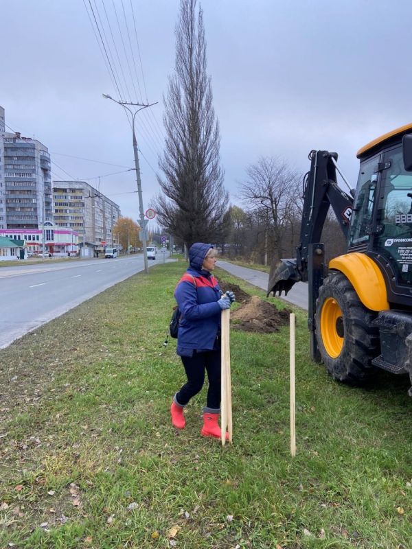 На улицах Йошкар-Олы продолжается подготовка посадочных ям для молодых деревьев и кустарников