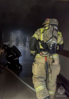 Статистика пожаров в Республике Марий Эл по состоянию на 7 ноября 2025 года