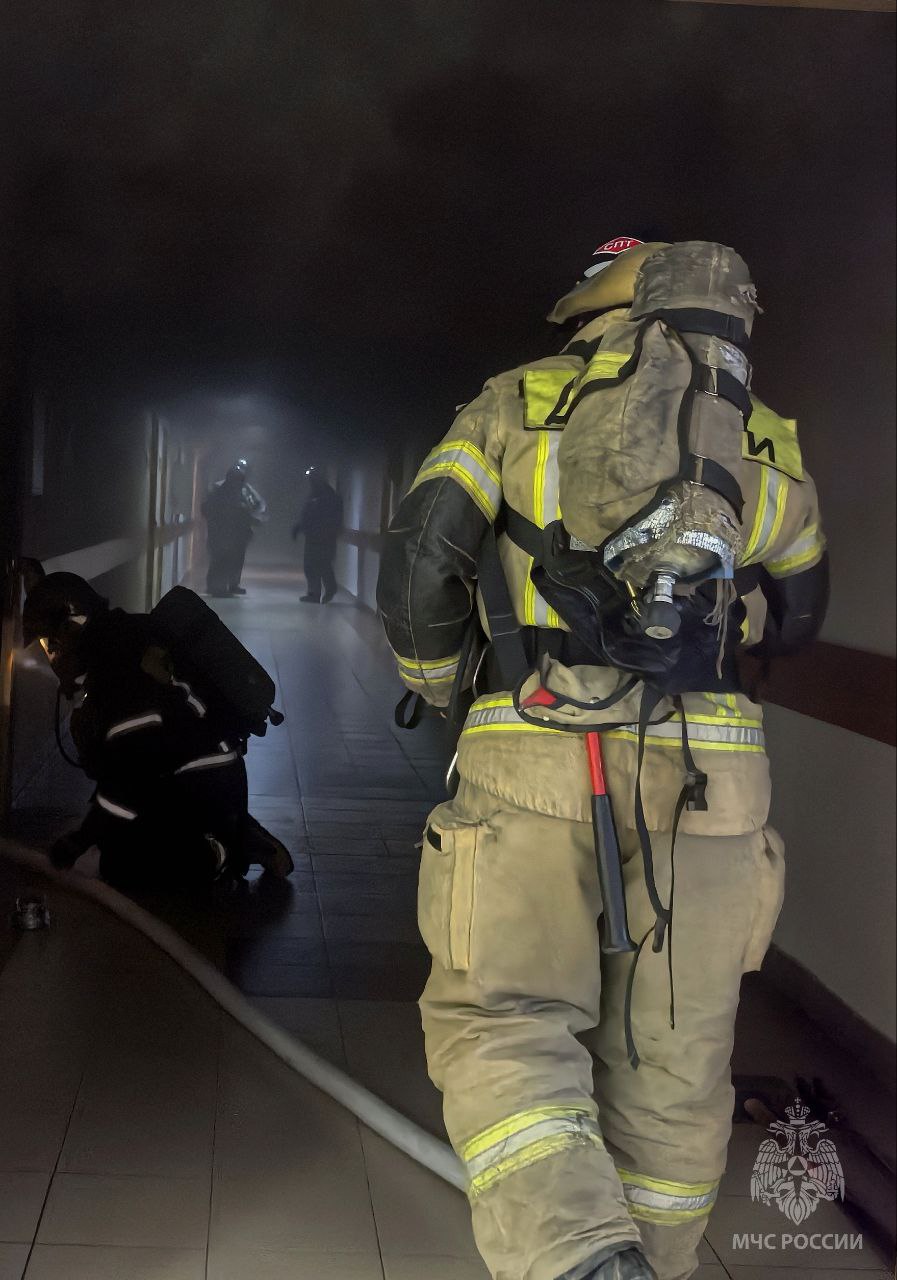 Статистика пожаров в Республике Марий Эл по состоянию на 7 ноября 2025 года