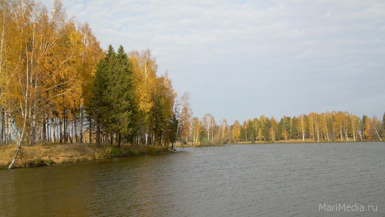 В выходные дни в Марий Эл будет тепло и сыро