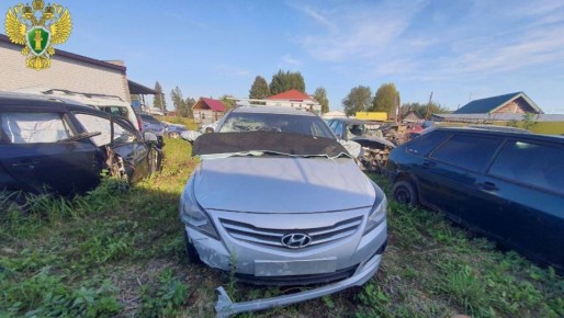 Житель Новоторъяльского района выплатит семье погибшего мальчика 2 млн рублей