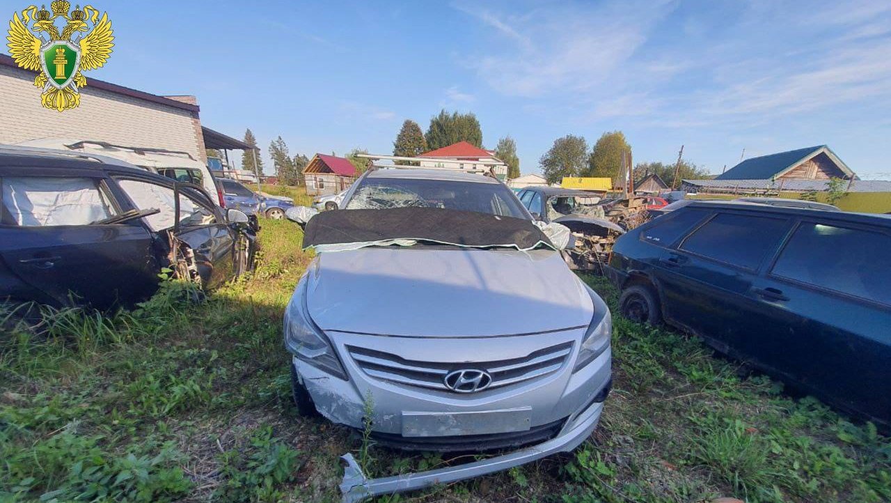 Житель Новоторъяльского района выплатит семье погибшего мальчика 2 млн рублей