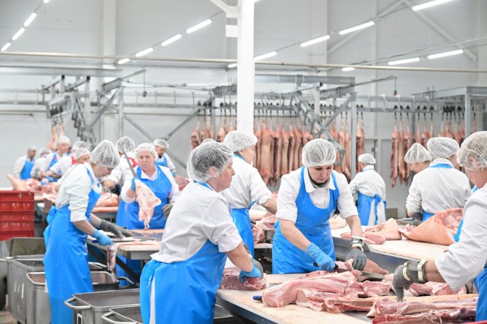 Объем экспорта продукции агропромышленного комплекса Марий Эл за январь-октябрь 2025 года составил 16,7 миллиона долларов