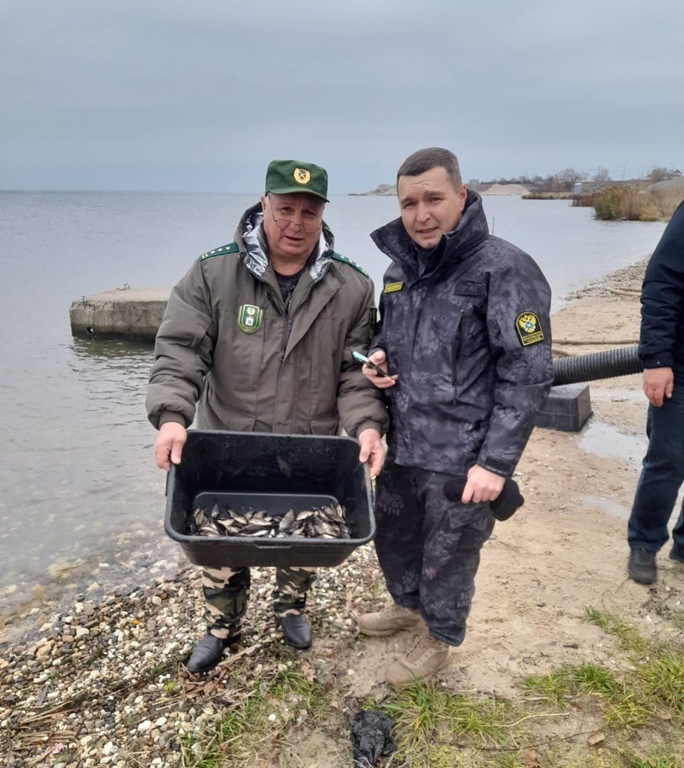 В Козьмодемьянске сотрудники Департамента животного мира Марий Эл выпустили в Волгу больше 250 килограммов мальков сазана В Козьмодемьянске сотрудники Департамента животного мира Марий Эл выпустили в Волгу больше 250 килограммов мальков сазана