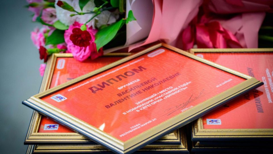 На региональном этапе премии «#МыВместе» в Марий Эл лучшими признаны 16 проектов