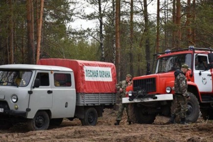 По данным специалистов Минприроды Марий Эл в 2025 году пожароопасный регионе продлился 207 дней