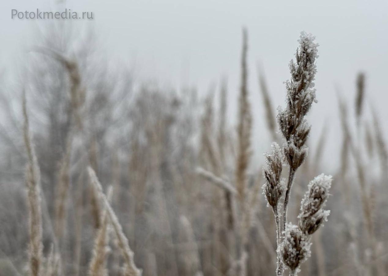 Такую красоту преподнесла сегодня жителям Марий Эл природа Такую красоту преподнесла сегодня жителям Марий Эл природа