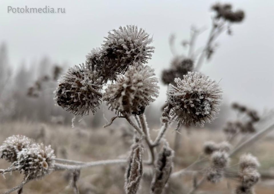 Такую красоту преподнесла сегодня жителям Марий Эл природа