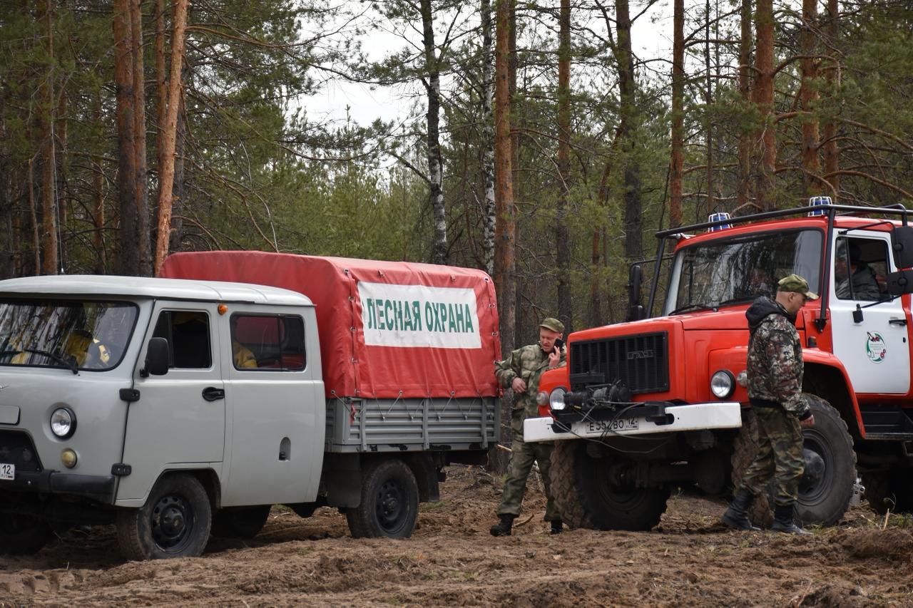 По данным специалистов Минприроды Марий Эл в 2025 году пожароопасный регионе продлился 207 дней