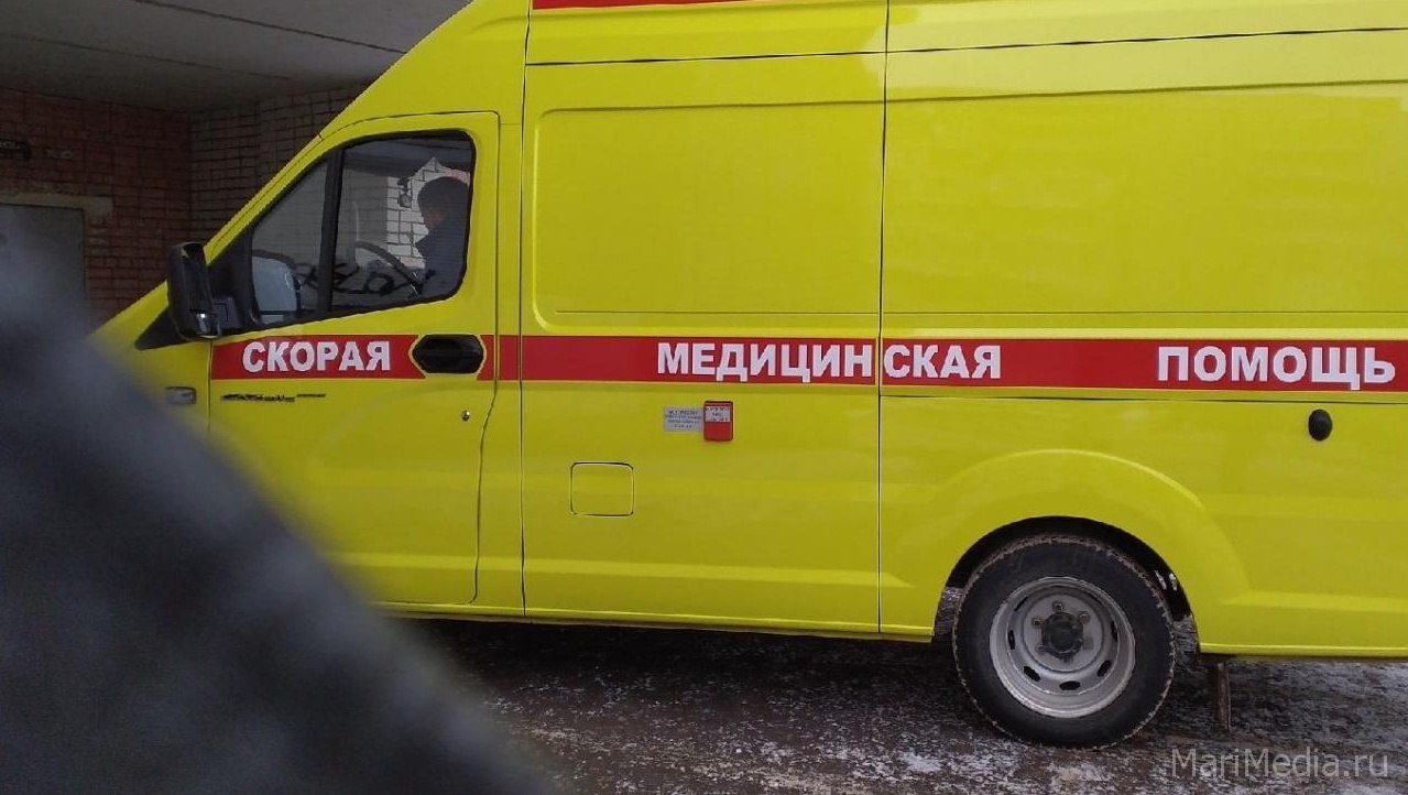 Во дворе на Красноармейской в Йошкар-Оле покалечили 87-летнюю бабушку