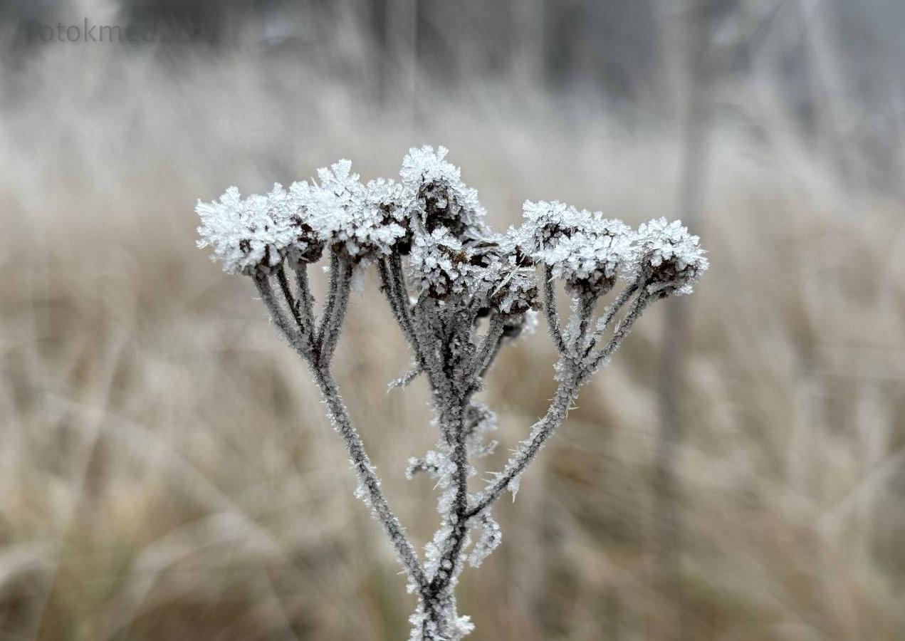 Такую красоту преподнесла сегодня жителям Марий Эл природа Такую красоту преподнесла сегодня жителям Марий Эл природа