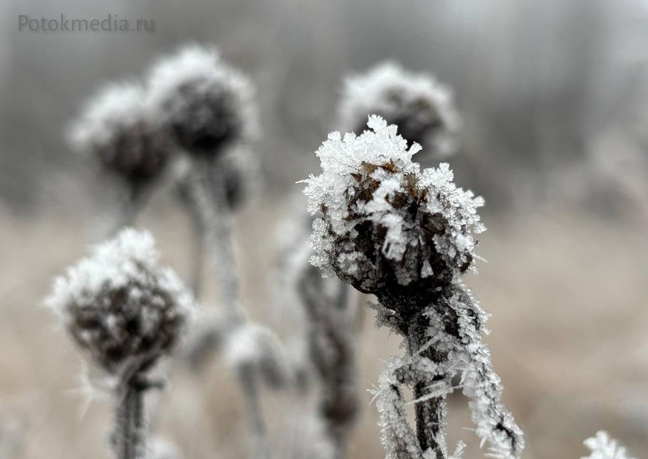 Такую красоту преподнесла сегодня жителям Марий Эл природа Такую красоту преподнесла сегодня жителям Марий Эл природа