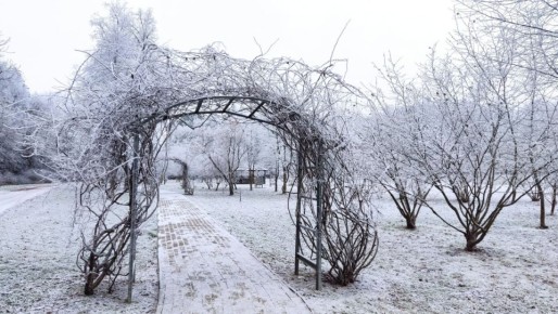 В Ботсаду Йошкар-Олы сегодня был пробный запуск зимы