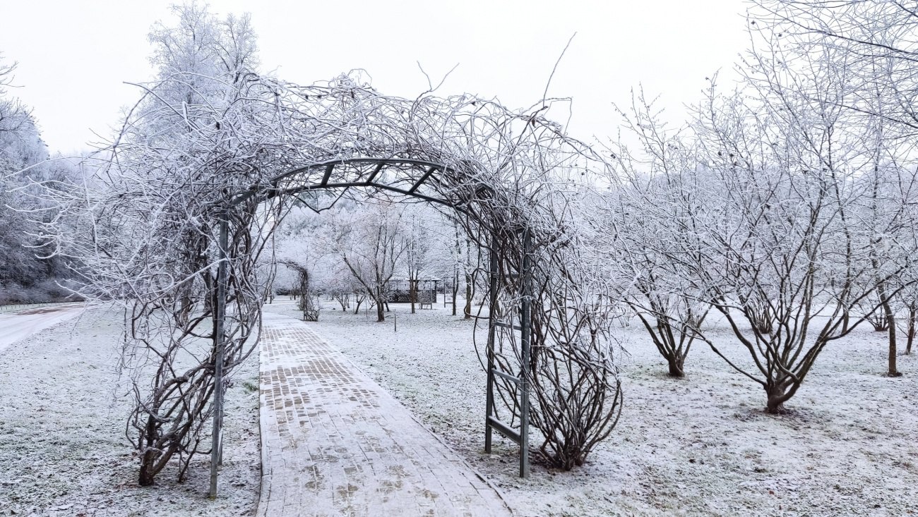 В Ботсаду Йошкар-Олы сегодня был пробный запуск зимы