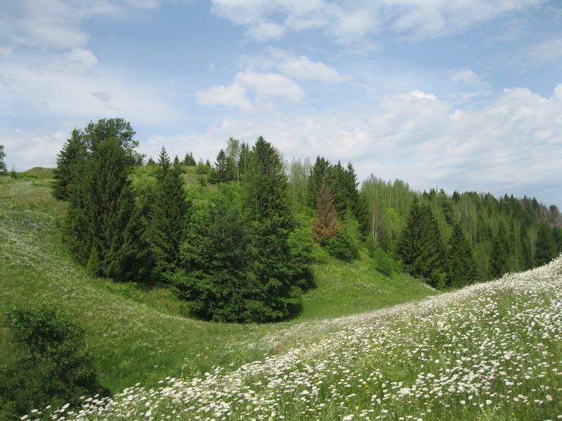 В Марий Эл создали охранные зоны для пяти памятников природы республиканского значения В Марий Эл создали охранные зоны для пяти памятников природы республиканского значения