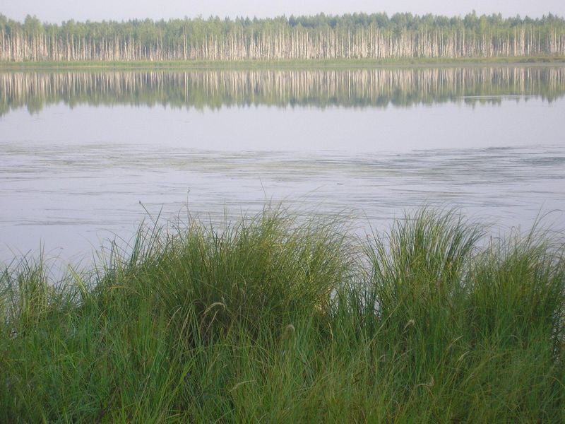 В Марий Эл создали охранные зоны для пяти памятников природы республиканского значения В Марий Эл создали охранные зоны для пяти памятников природы республиканского значения