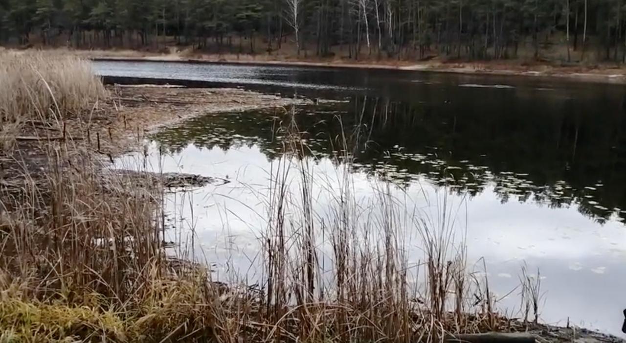Специалисты Минприроды Республики Марий Эл подтвердили, что обмеление озера Яльчик связано с природными причинами, а не деятельностью человека