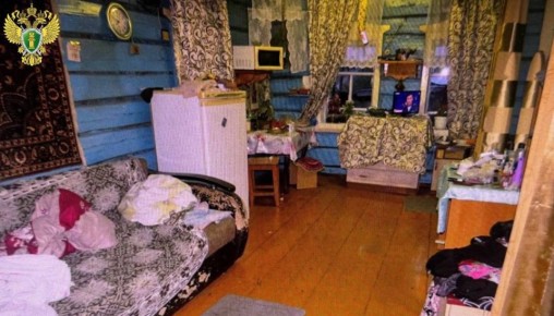 В Волжском районе пенсионерка порезала зятя