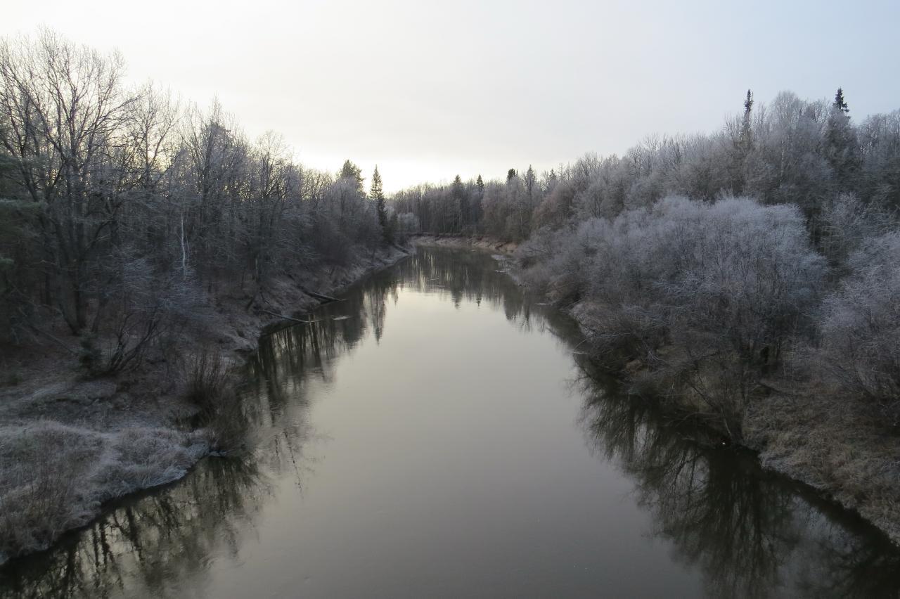 Первые дни ноября в Марий Эл удивили аномально теплой погодой