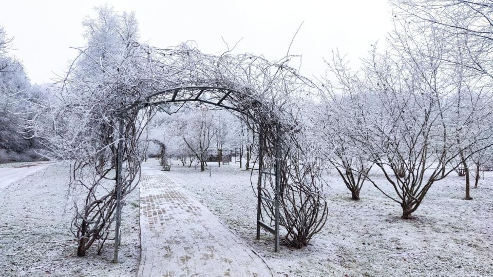 В Ботаническом саду Йошкар-Олы рассказали, как экзотические растения переживают первые холода