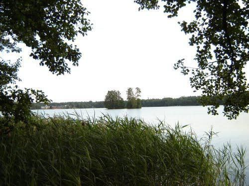 В Марий Эл создали охранные зоны для пяти памятников природы республиканского значения В Марий Эл создали охранные зоны для пяти памятников природы республиканского значения