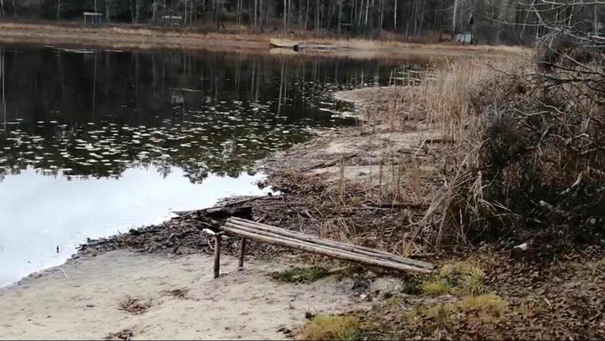 Специалисты Минприроды Марий Эл объяснили причину снижения уровня воды в озере Яльчик