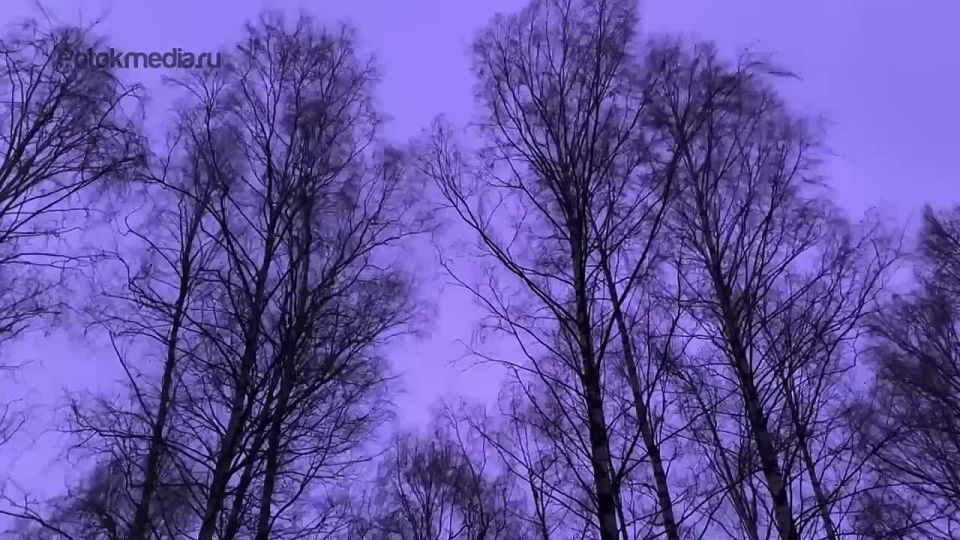   3        14       -   - ,   15-18 /,     