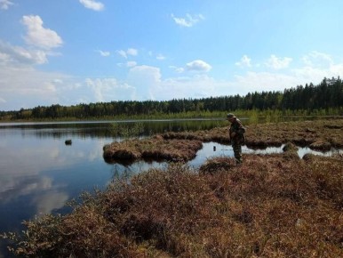 Специалисты Минприроды Марий Эл провели исследование экологического состояния памятника природы «Кумьяры (три озера)».