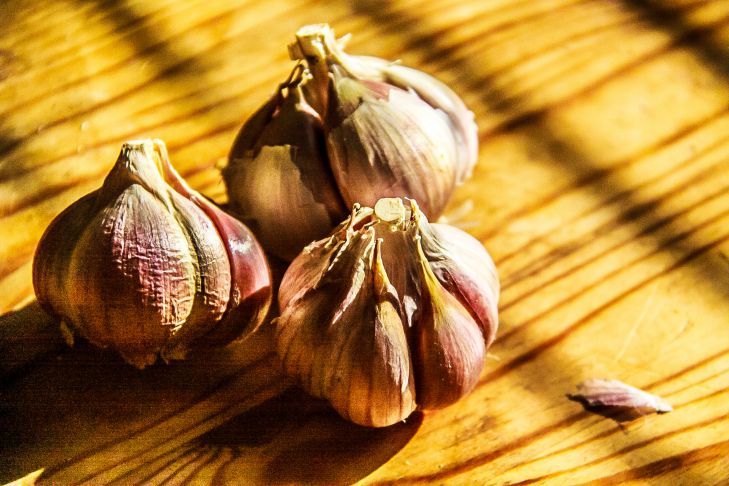 Как снова сделать сочным высохший чеснок: хозяйкам на заметку