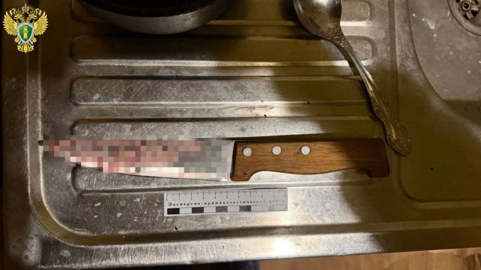 В Йошкар-Оле 44-летняя женщина обвиняется в убийстве