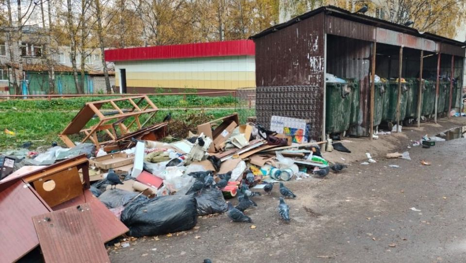 В Йошкар-Оле в этом году 452 раза нарушили Правила благоустройства