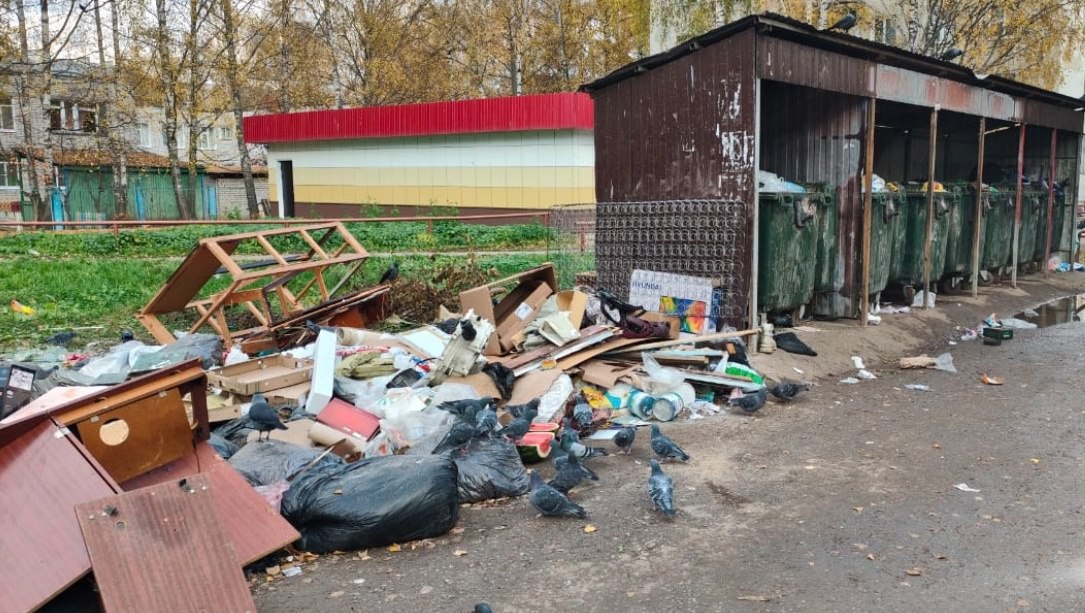 В Йошкар-Оле в этом году 452 раза нарушили Правила благоустройства