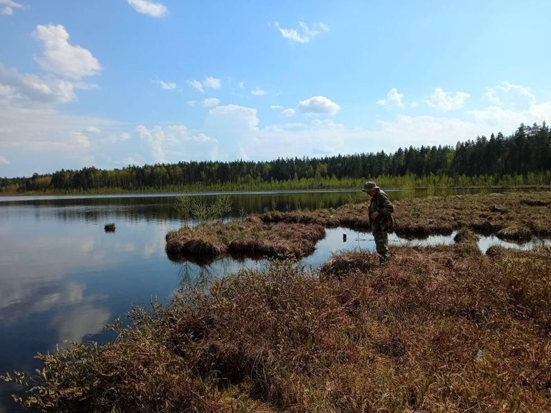Специалисты из Чувашии исследовали в Килемарском районе Марий Эл памятник природы «Кумъяры (три озера)»