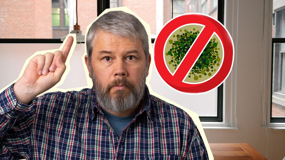 От черной плесени возле окон и следа не останется: простой раствор выведет грибок