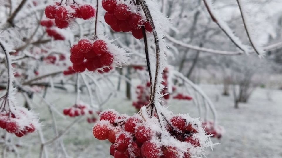 В Марий Эл прогнозируют дождь и мокрый снег