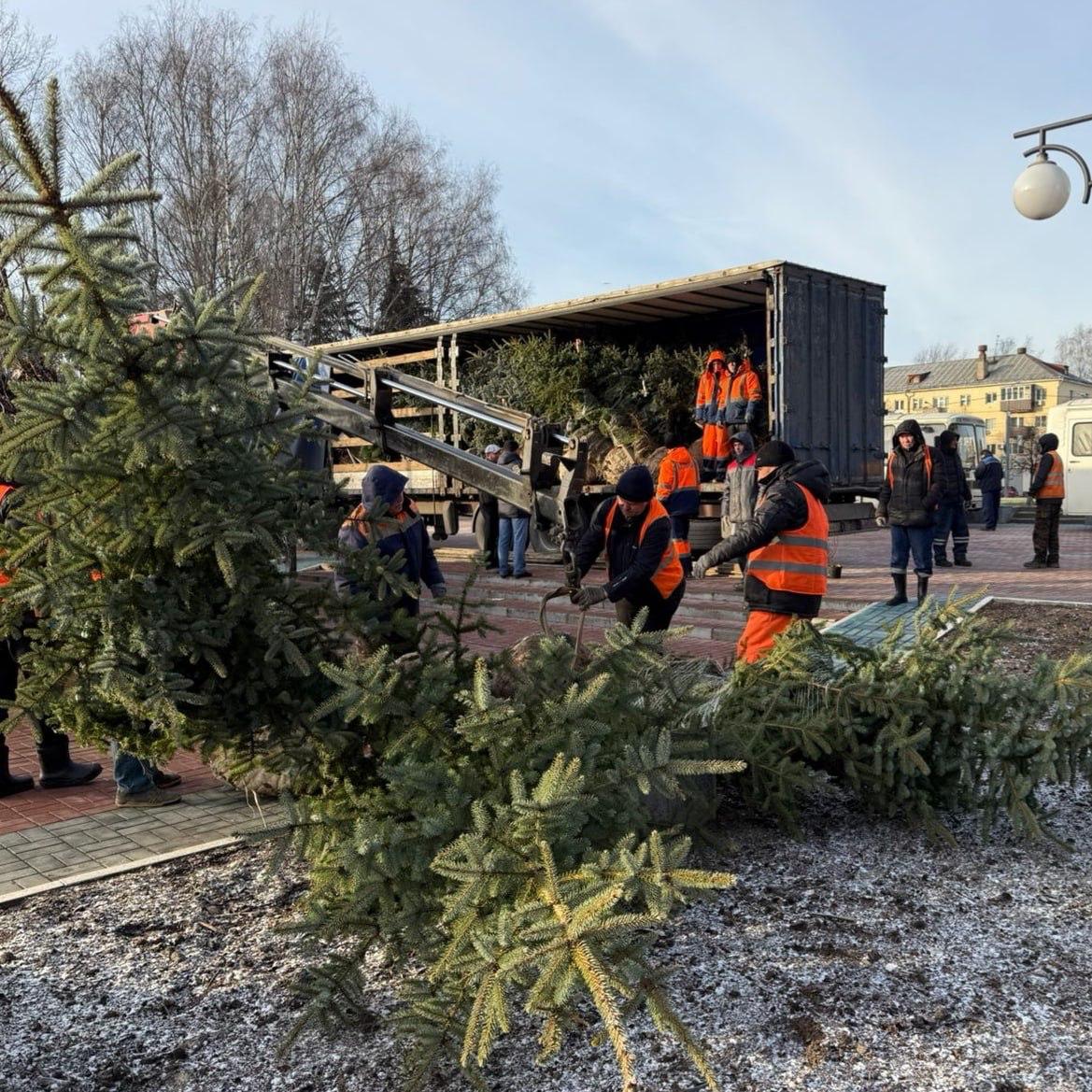20 колючих елок высаживают в Центральном парке культуры и отдыха в Йошкар-Оле 20 колючих елок высаживают в Центральном парке культуры и отдыха в Йошкар-Оле