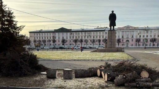 На площади Ленина в Йошкар-Оле вырубают ели