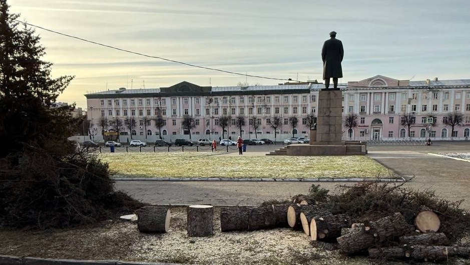На площади Ленина в Йошкар-Оле вырубают ели
