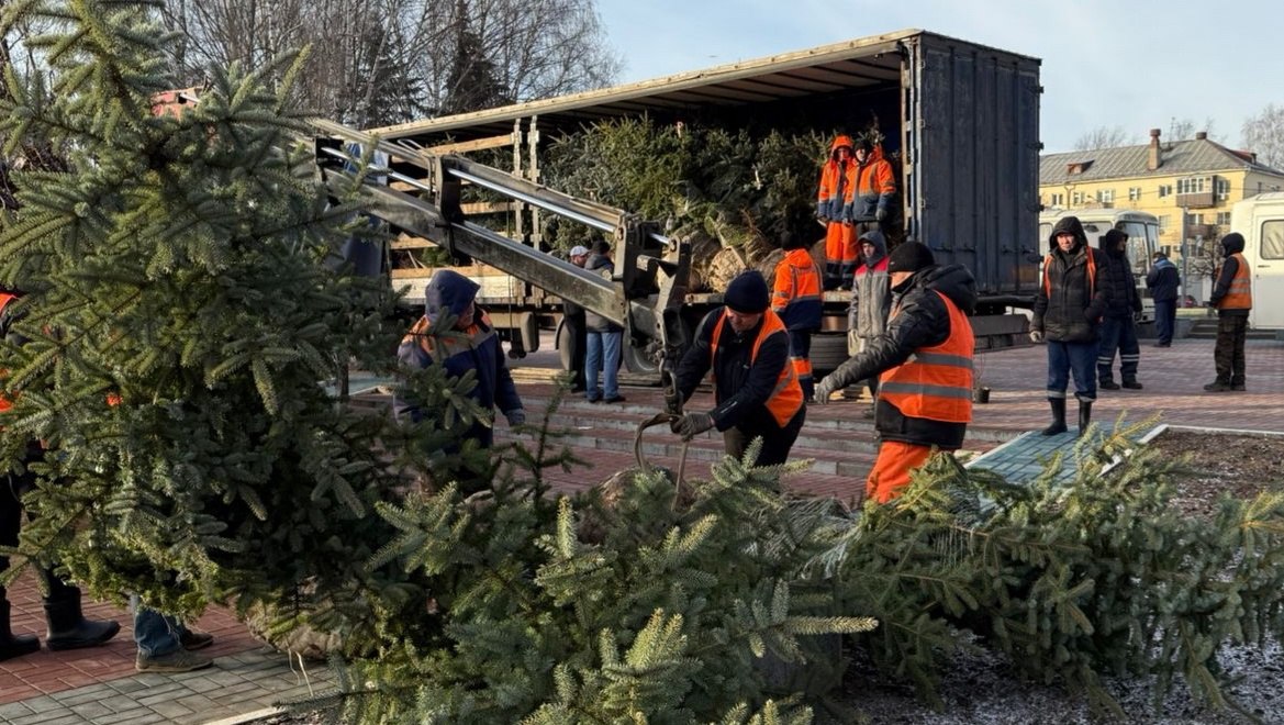 В парке культуры и отдыха в Йошкар-Оле высаживают 20 ёлочек